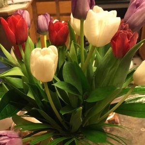 Meet your Posher, Tracy